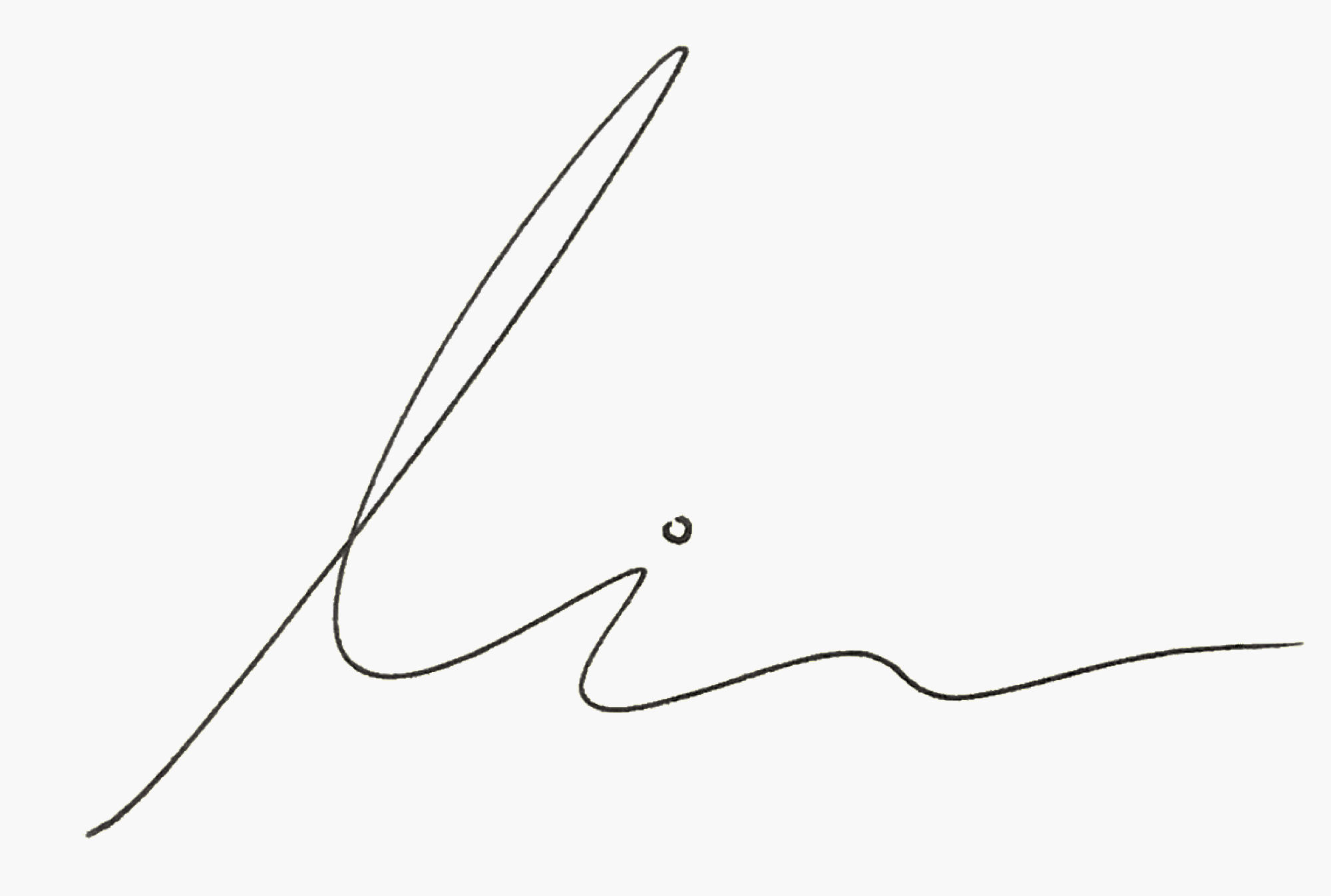 Signature | Lior Div